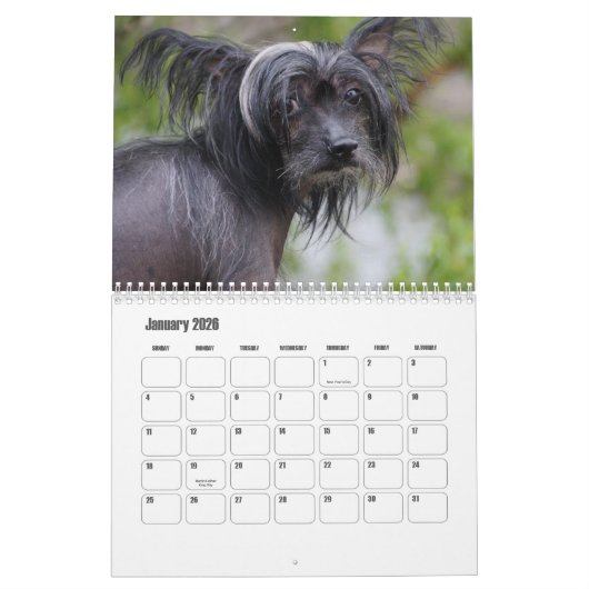 Chinese Crested Dog Kalender (Jan 2026)
