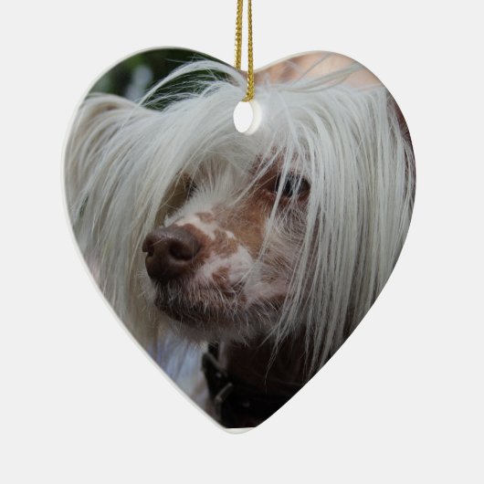 Chinese Crested Dog Keramisch Ornament (Rechts)