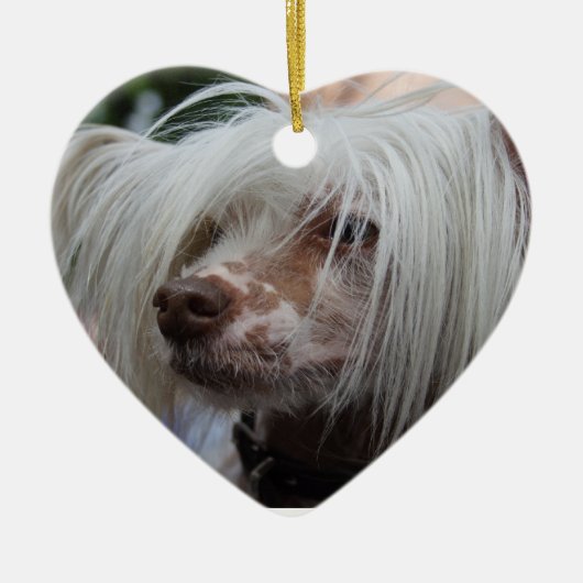 Chinese Crested Dog Keramisch Ornament (Voorkant)