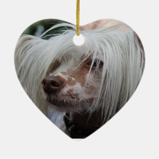 Chinese Crested Dog Keramisch Ornament (Achterkant)