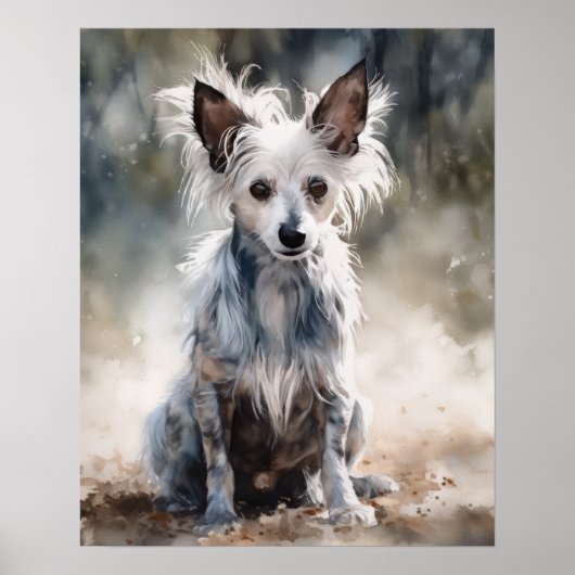 Chinese Crested Dog Kunstprint Poster (Voorkant)