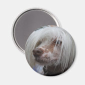 Chinese Crested Dog Magneet (Voorkant / Achterkant)