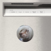 Chinese Crested Dog Magneet (Insitu (Vaatwasser))