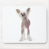 Chinese Crested Dog Mouspad Muismat (Voorkant)