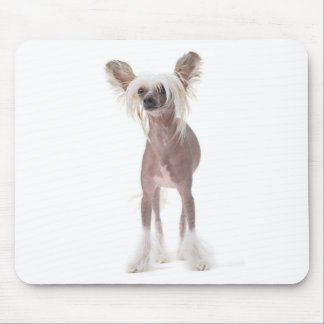 Chinese Crested Dog Mouspad Muismat