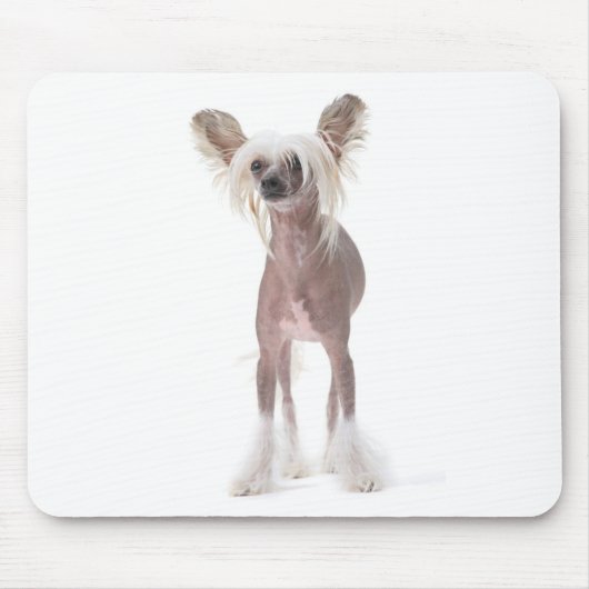Chinese Crested Dog Mouspad Muismat (Voorkant)