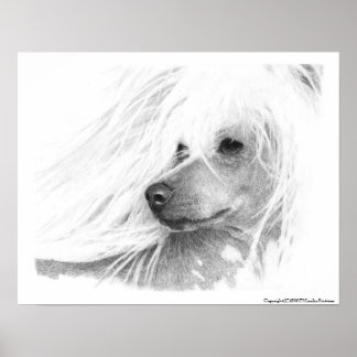 Chinese Crested Dog Poster