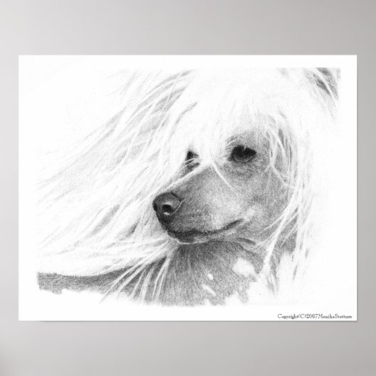Chinese Crested Dog Poster (Voorkant)