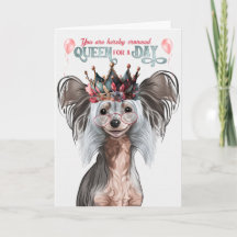 Chinese Crested Dog Queen voor een dag van de verj
