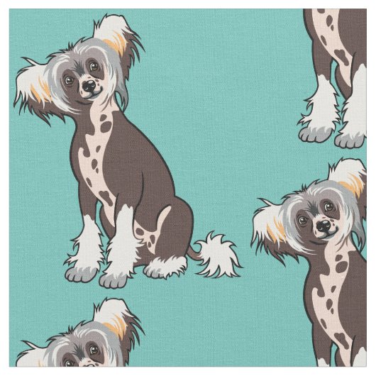 Chinese Crested Dog Stof (Close Up)
