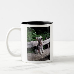 Chinese Crested Dog Tweekleurige Koffiemok