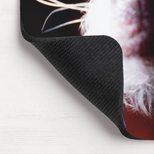 Chinese Crested Fisheye Muismat (Hoek)