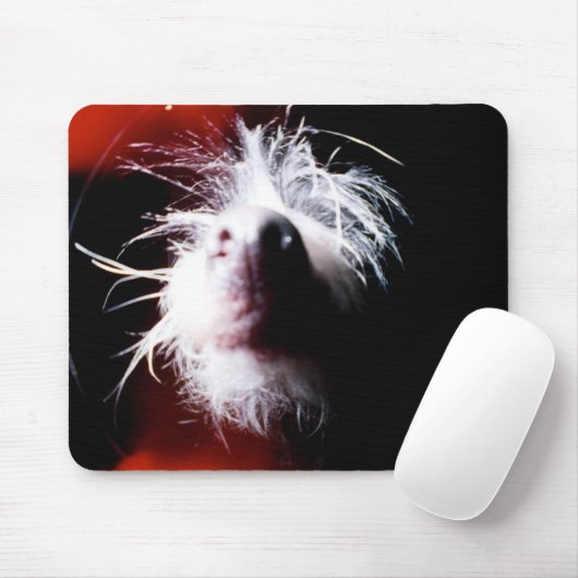 Chinese Crested Fisheye Muismat (Met muis)