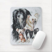 Chinese Crested Ghost Muismat (Met muis)