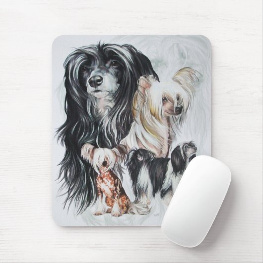 Chinese Crested Ghost Muismat (Met muis)