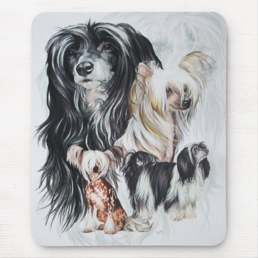 Chinese Crested Ghost Muismat (Voorkant)