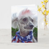 Chinese Crested haarloze hond met vlaggen sjaal Kaart (Gele Bloem)