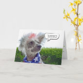 Chinese Crested Haarloze hond verjaardag Kaart (Gele Bloem)