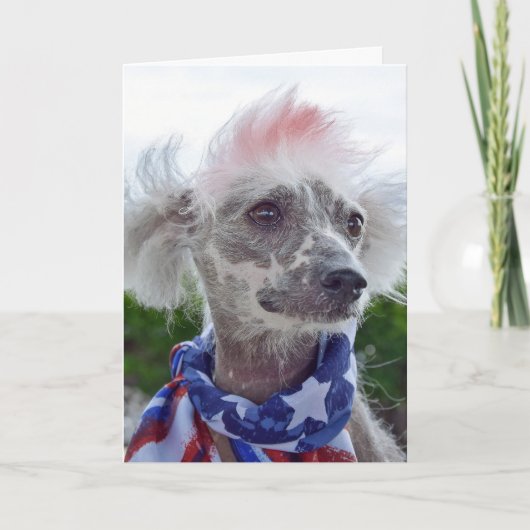 Chinese Crested Hairless hond met vlaggen sjaal Kaart (Voorkant)
