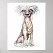 Chinese Crested Hairless Poster (Voorkant)