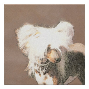 Chinese Crested Hairless Schilderij Originele Hond Perfect Poster