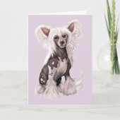 Chinese Crested Hairless Sit Kaart (Voorkant)