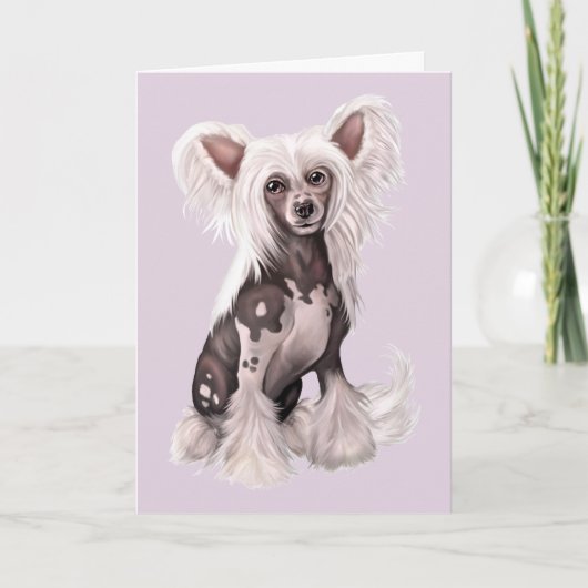 Chinese Crested Hairless Sit Kaart (Voorkant)