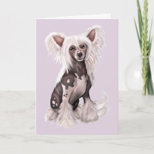 Chinese Crested Hairless Sit Kaart
