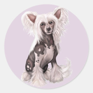 Chinese Crested Hairless Sit Ronde Sticker