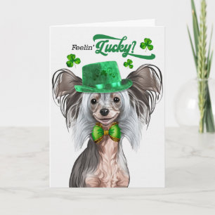 Chinese Crested hond voelt zich Lucky St. Patrick' Feestdagen Kaart