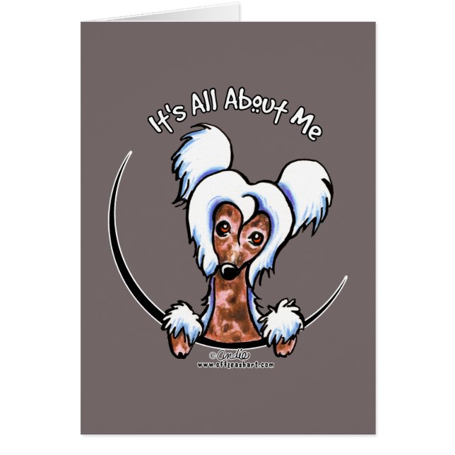 Chinese Crested IAAM (Voorkant)