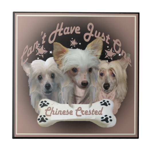 Chinese Crested kan niet slechts één tegels hebben Tegeltje (Voorkant)