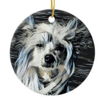 Chinese Crested