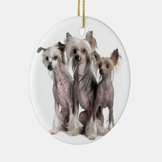 Chinese Crested Keramisch Ornament (Rechts)