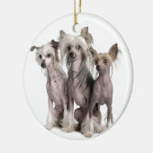Chinese Crested Keramisch Ornament (Links)