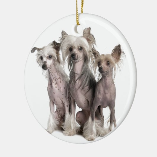 Chinese Crested Keramisch Ornament (Links)