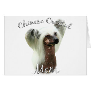 Chinese Crested Mam 2