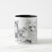 Chinese Crested Mok (Midden)