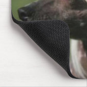 Chinese Crested Mousepad Muismat (Hoek)