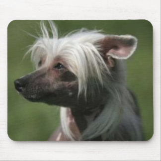 Chinese Crested Mousepad Muismat