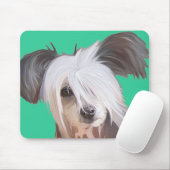 Chinese Crested Muismat (Met muis)