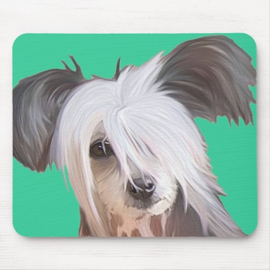 Chinese Crested Muismat (Voorkant)