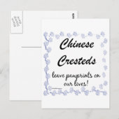 Chinese Crested Pawprints Briefkaart (Voorkant / Achterkant)