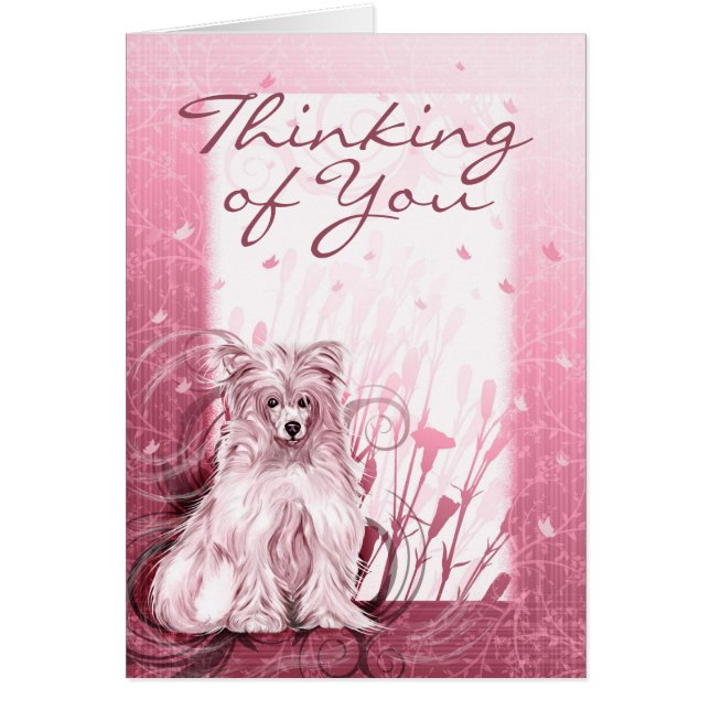 Chinese Crested Pink (Voorkant)