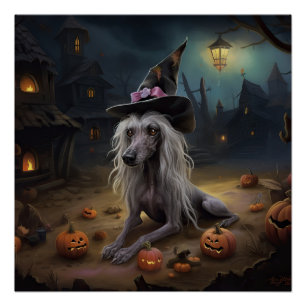 Chinese Crested Pompoenen Halloween Griezelen  Perfect Poster