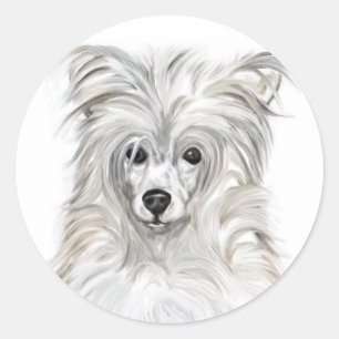 Chinese Crested Powder Puff Ronde Sticker