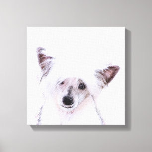 Chinese Crested Powderpuff-schilderijen - Dog Art Canvas Afdruk
