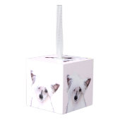 Chinese Crested Powderpuff-schilderijen - Dog Art Decoratie (Achter hoekig)