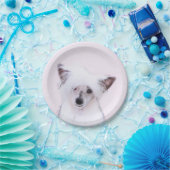 Chinese Crested Powderpuff-schilderijen - Dog Art Papieren Bordje (Feest)