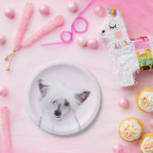 Chinese Crested Powderpuff-schilderijen - Dog Art Papieren Bordje (Feest)